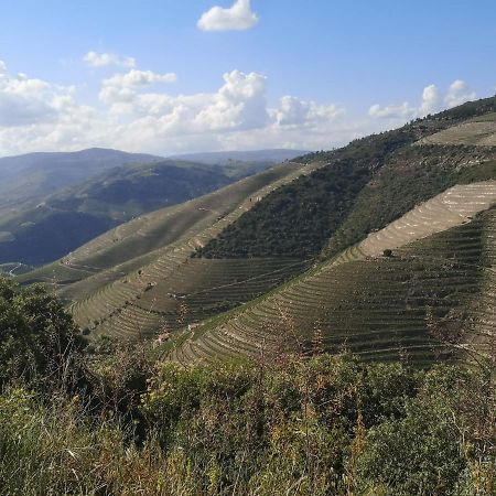 Douro Valley - Casa Da Praca Ervedosa do Douro Exteriér fotografie