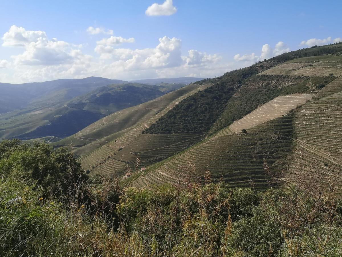Douro Valley - Casa Da Praca Ervedosa do Douro Exteriér fotografie
