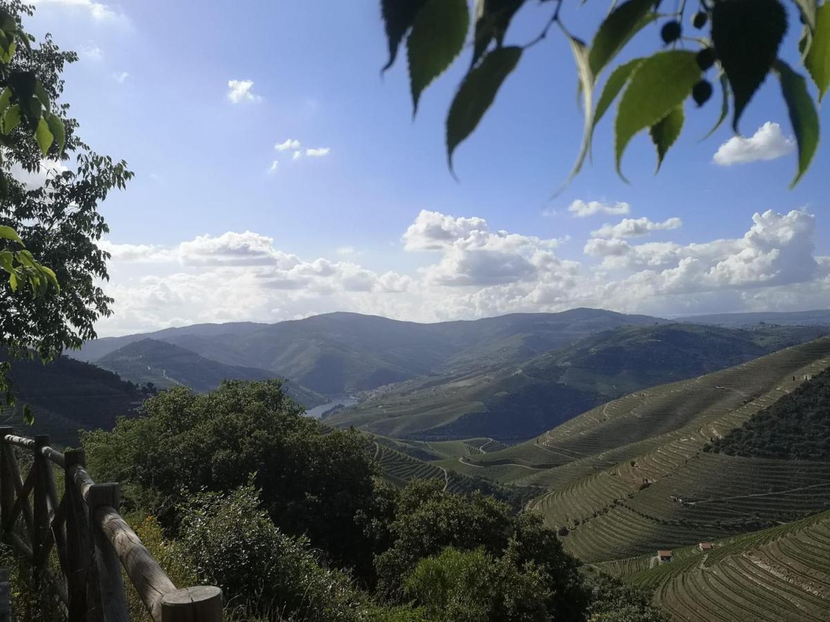 Douro Valley - Casa Da Praca Ervedosa do Douro Exteriér fotografie